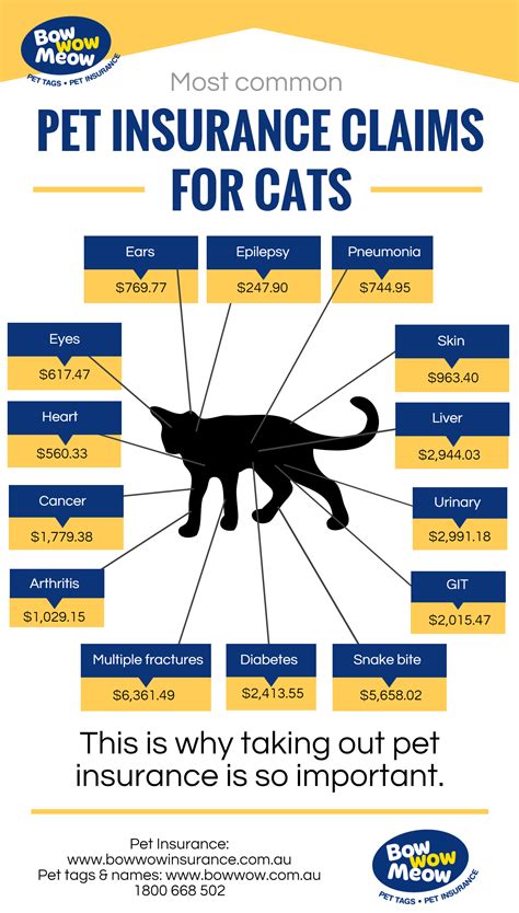 big cat insurance claim.